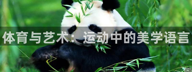 JJB竞技宝官方正版app代理：体育与艺术：运动中的