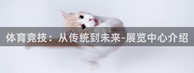 JJB竞技宝官方平台体育：体育竞技：从传统到未来-展览中心介