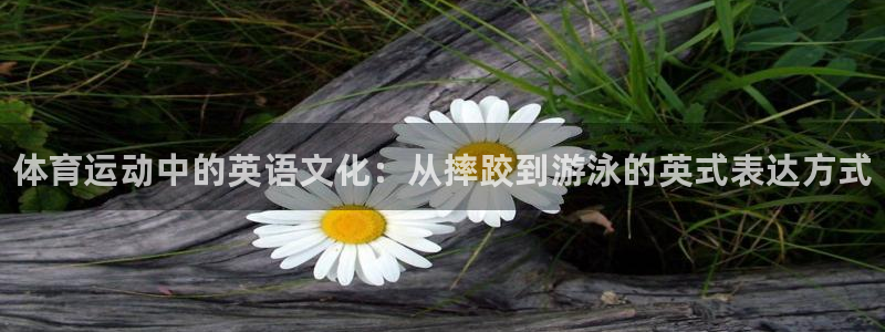 JJB竞技宝官网下载平台注册流程视频：体育运动中的英语文化：
