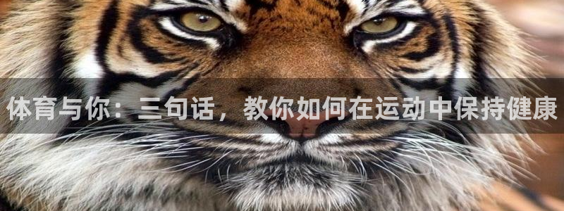 JJB竞技宝官网下载招商电话是多少啊：体育与你：三句话，教你