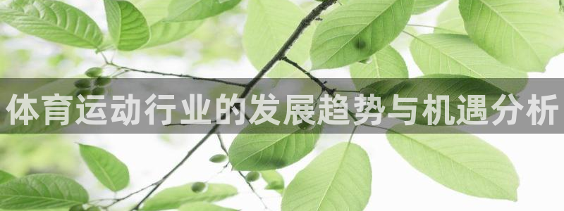 JJB竞技宝官网下载招商电话号码查询：体育运动行业的