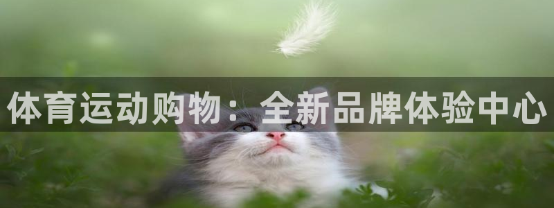 海南JJB竞技宝官网下载发展怎么样：体育运动购物：全