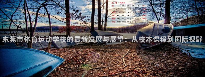 JJB竞技宝官方正版app集团官网网址：东莞市体育运