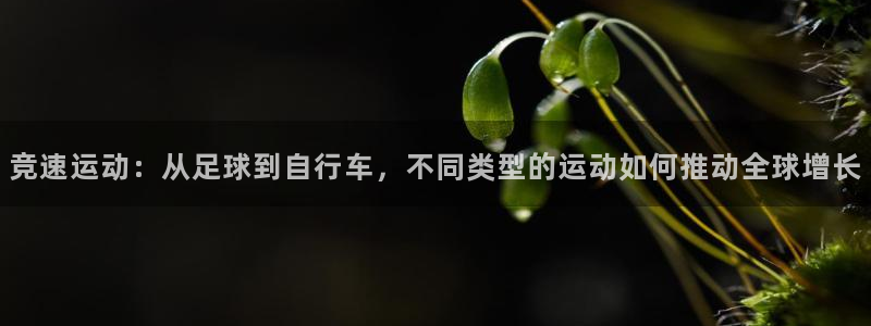 JJB竞技宝官方正版app集团logo：竞速运动：从