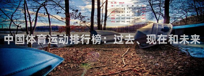 JJB竞技宝官网下载平台注册要钱吗安全吗：中国体育运动排行榜