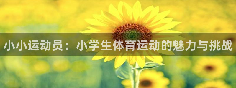 JJB竞技宝官方正版app集团：小小运动员：小学生体