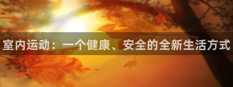 JJB竞技宝官方正版app集团简介：室内运动：一个健