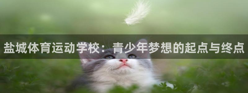 JJB竞技宝官网下载平台是正规平台吗安全吗