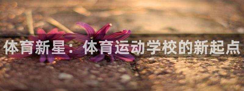 JJB竞技宝官方正版app集团简介