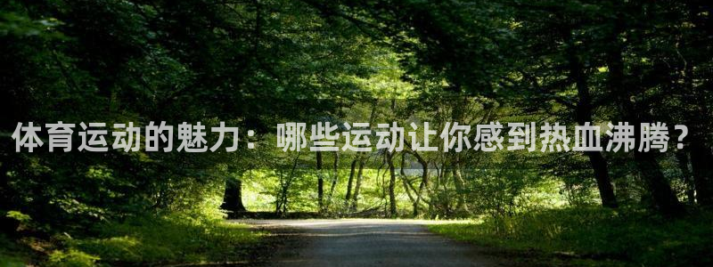 JJB竞技宝官网下载平台注册流程图：体育运动的魅力：哪些运动