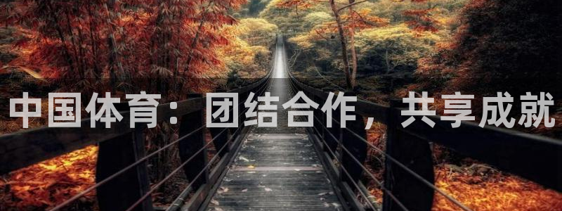 JJB竞技宝官方正版app娱乐是那个系列的台子