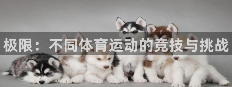 JJB竞技宝官方正版app代理：极限：不同体育运动的竞技与挑