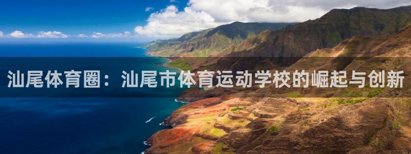 JJB竞技宝官方正版app新能源