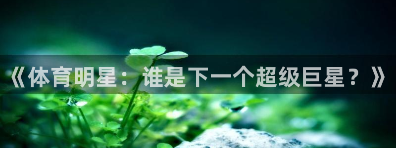 JJB竞技宝官网下载招商电话地址是多少：《体育明星：谁是下一